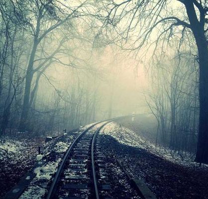 The perks of using Amyal app